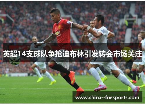 英超14支球队争抢迪布林引发转会市场关注