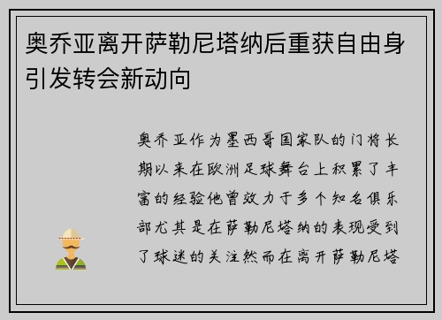 奥乔亚离开萨勒尼塔纳后重获自由身引发转会新动向
