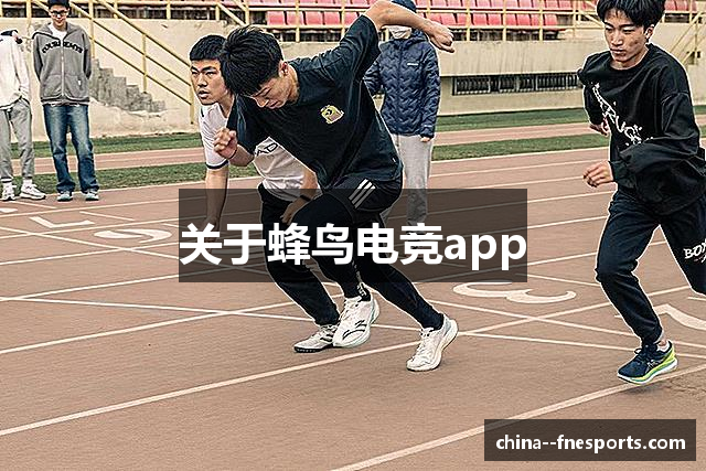 关于蜂鸟电竞app